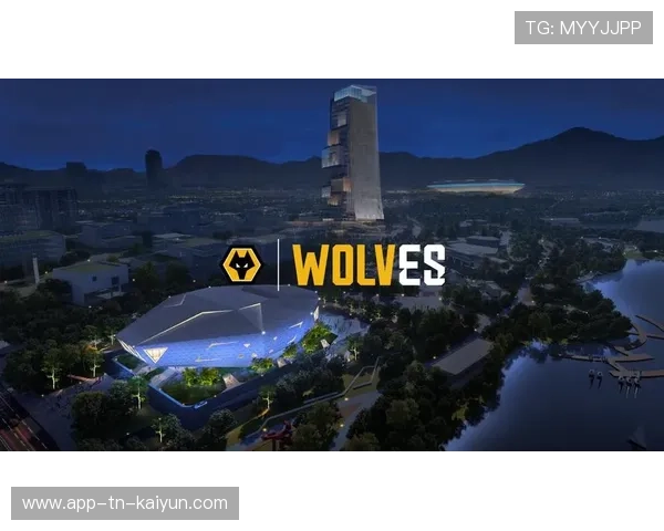 电竞行业金融环境逐步改善，融资渠道更丰富，电竞行业面临的风险