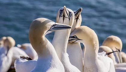 开云体育app下载-亚洲杯中国足球惨败 球迷呼吁提升青训质量，亚洲杯中国足球队赛程