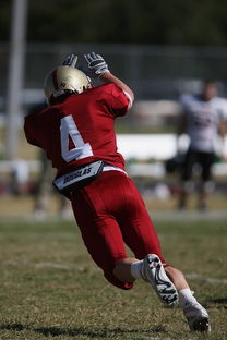 开云体育官网在线-中超球队重点对手研究频率分布，中超球队实力分析