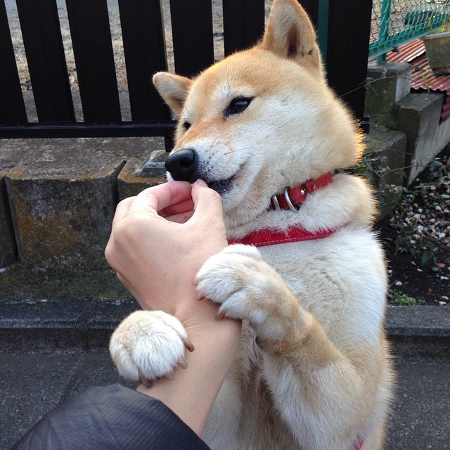 中超球队防空能力研究报告,中超防守最好球队