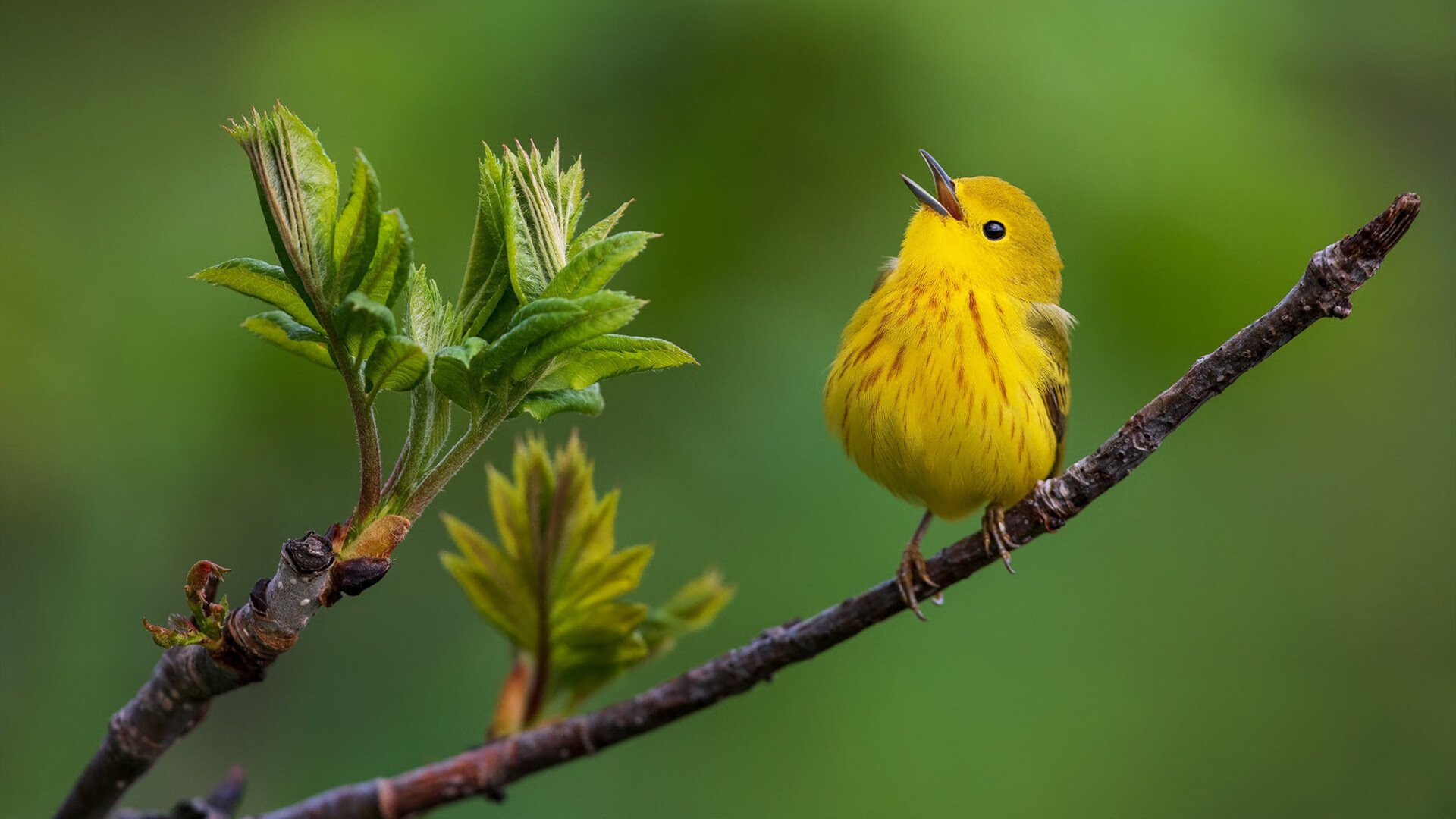 开云体育在线入口-国足队长领导力与场上执行力关系分析，国足队长是