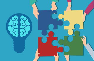 开云体育官网上-青少年运动损伤防护知识普及策略及效果评估，青少年运动损伤防护知识普及策略及效果评估