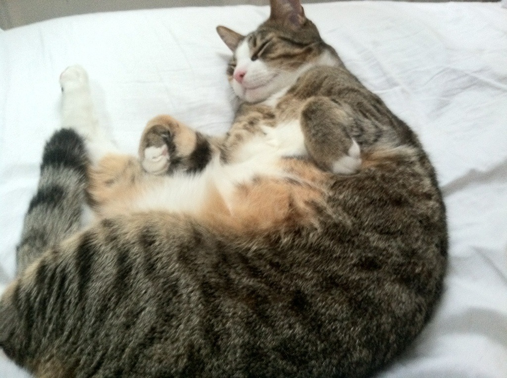 U23国足出战奥预赛 表现亮眼引发热议，u23奥运足球预选赛