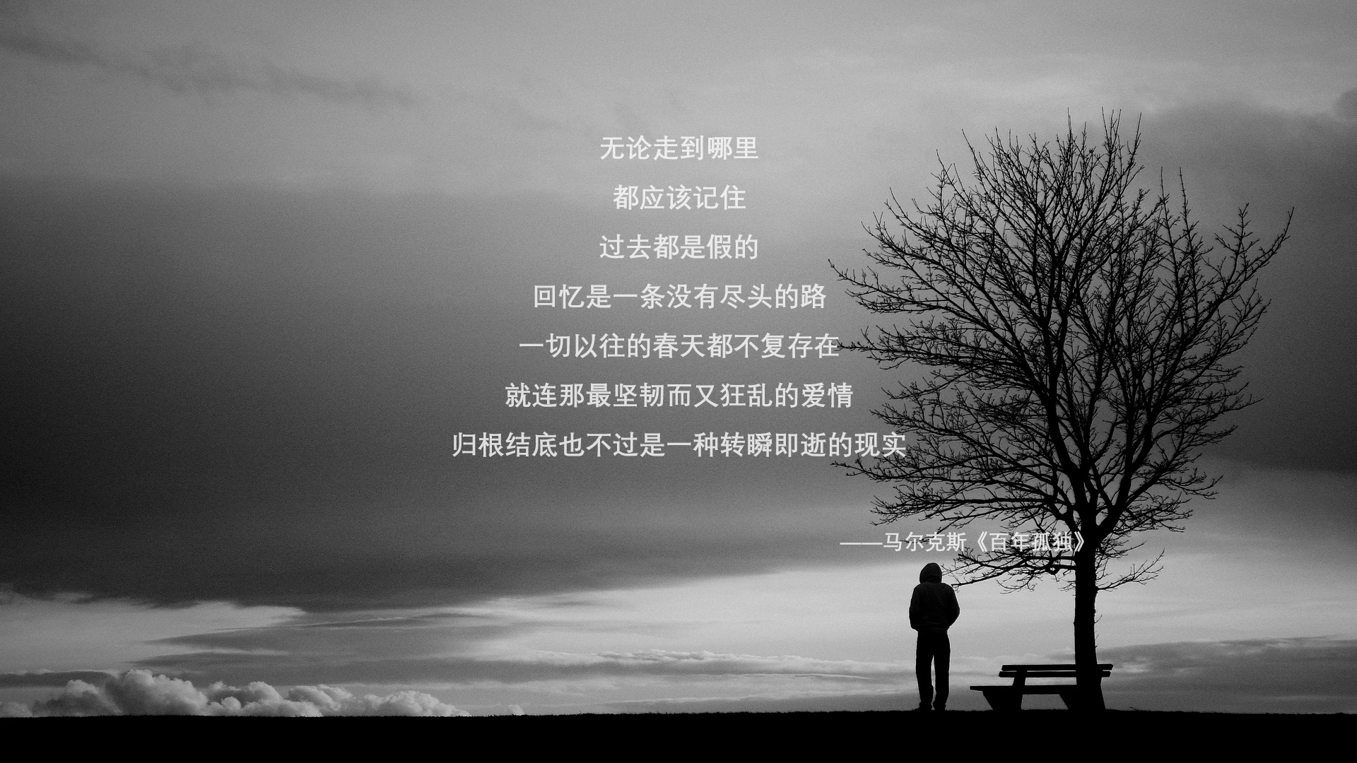 “金牛区城北体育馆：运动舞蹈赛场，舞者们用脚步书写辉煌故事”