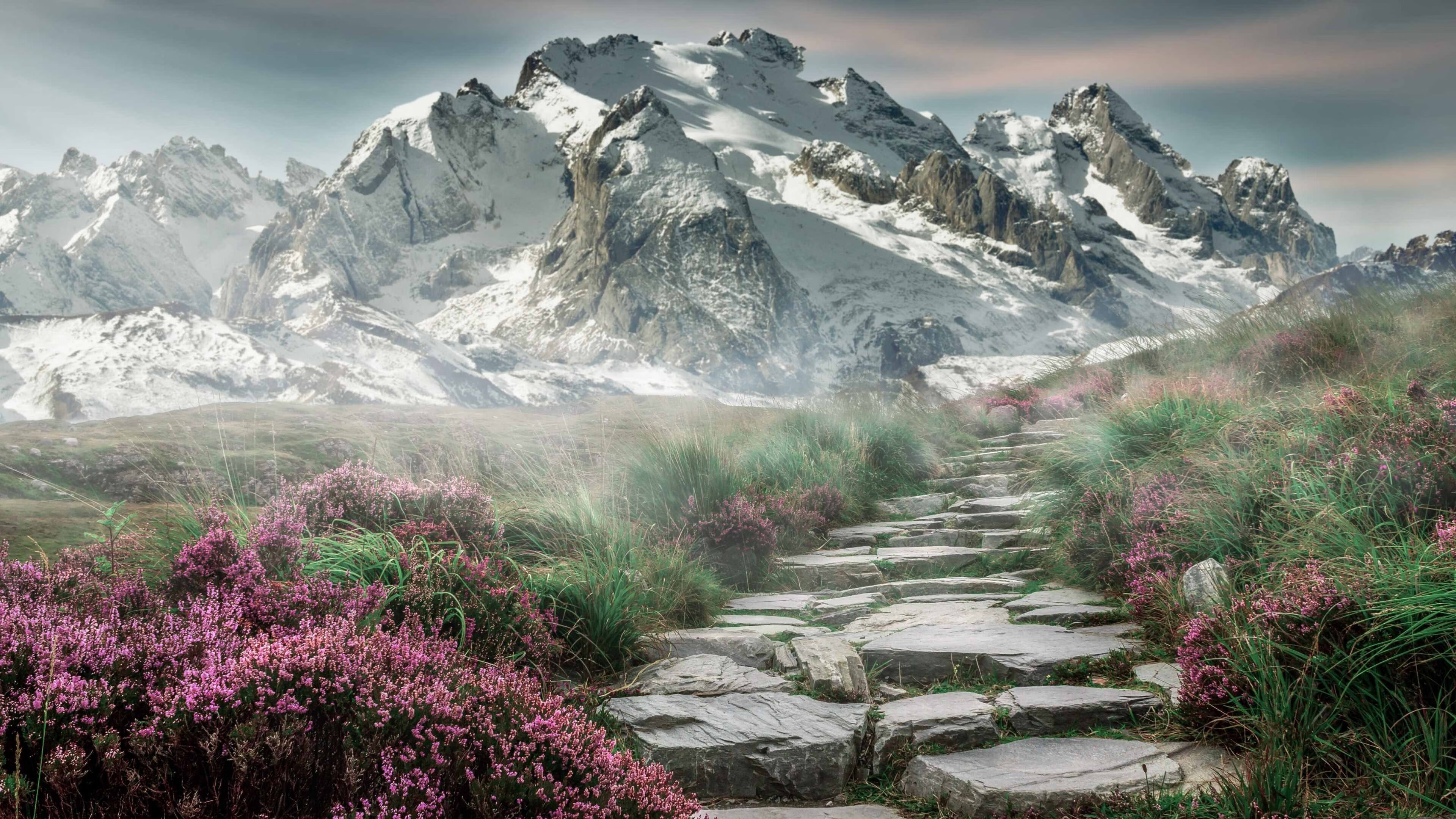 广东队在关键时刻打出一波流掌控比赛,广东队打法