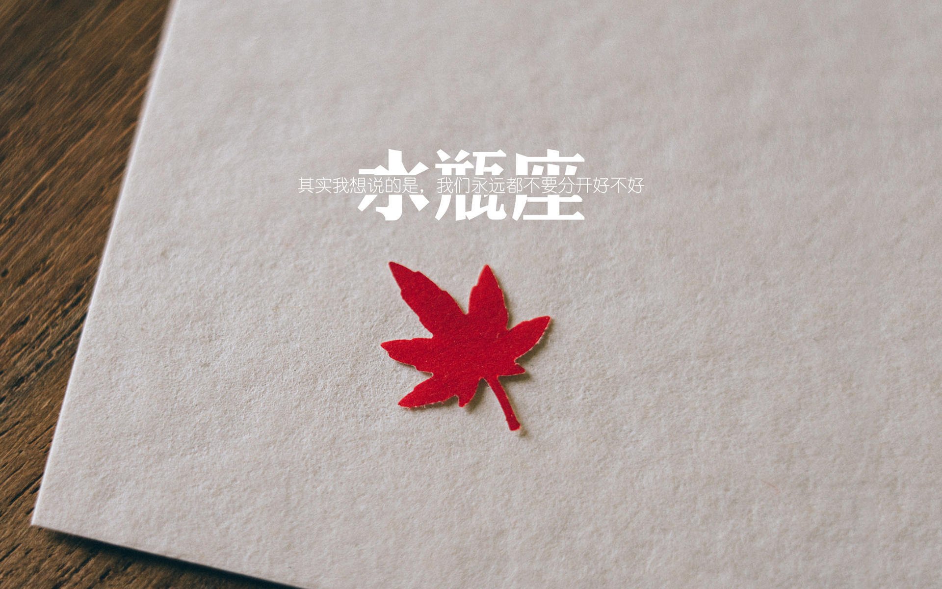 开云体育在线官网-德国两将同场竞技 梅尔滕斯突出表现，德利斯梅尔滕斯