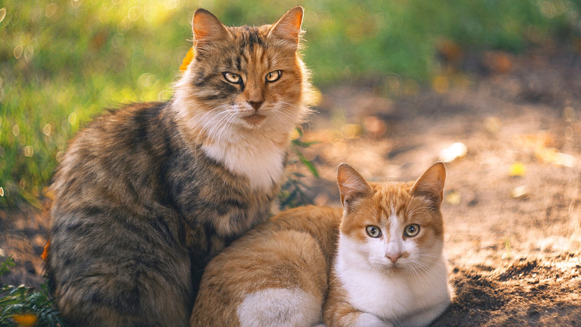 开云体育下载-瑞·弗兰：他凭借出色的防守反应和敏锐的进攻嗅觉，总能在关键时刻做出决定性贡献