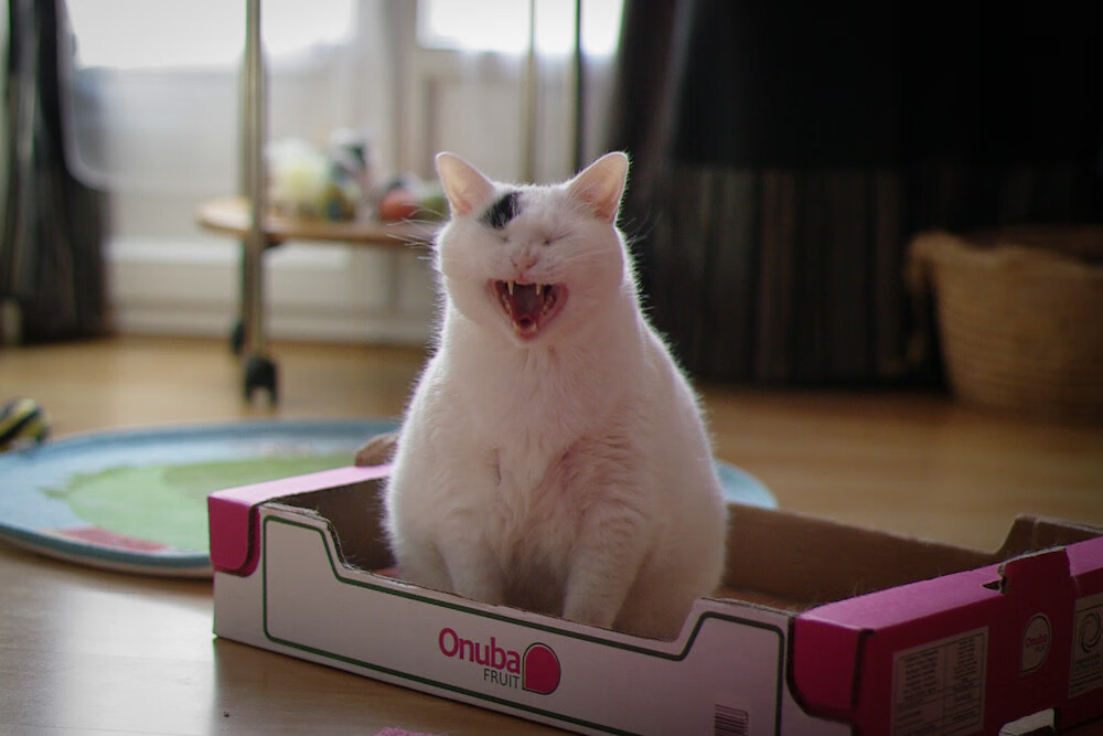 F-16前脚到，俄军后脚炸，俄军6b13