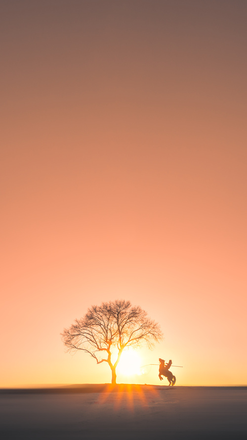 中国篮球的师资力量地域分布情况研究,中国篮球职业球员人数