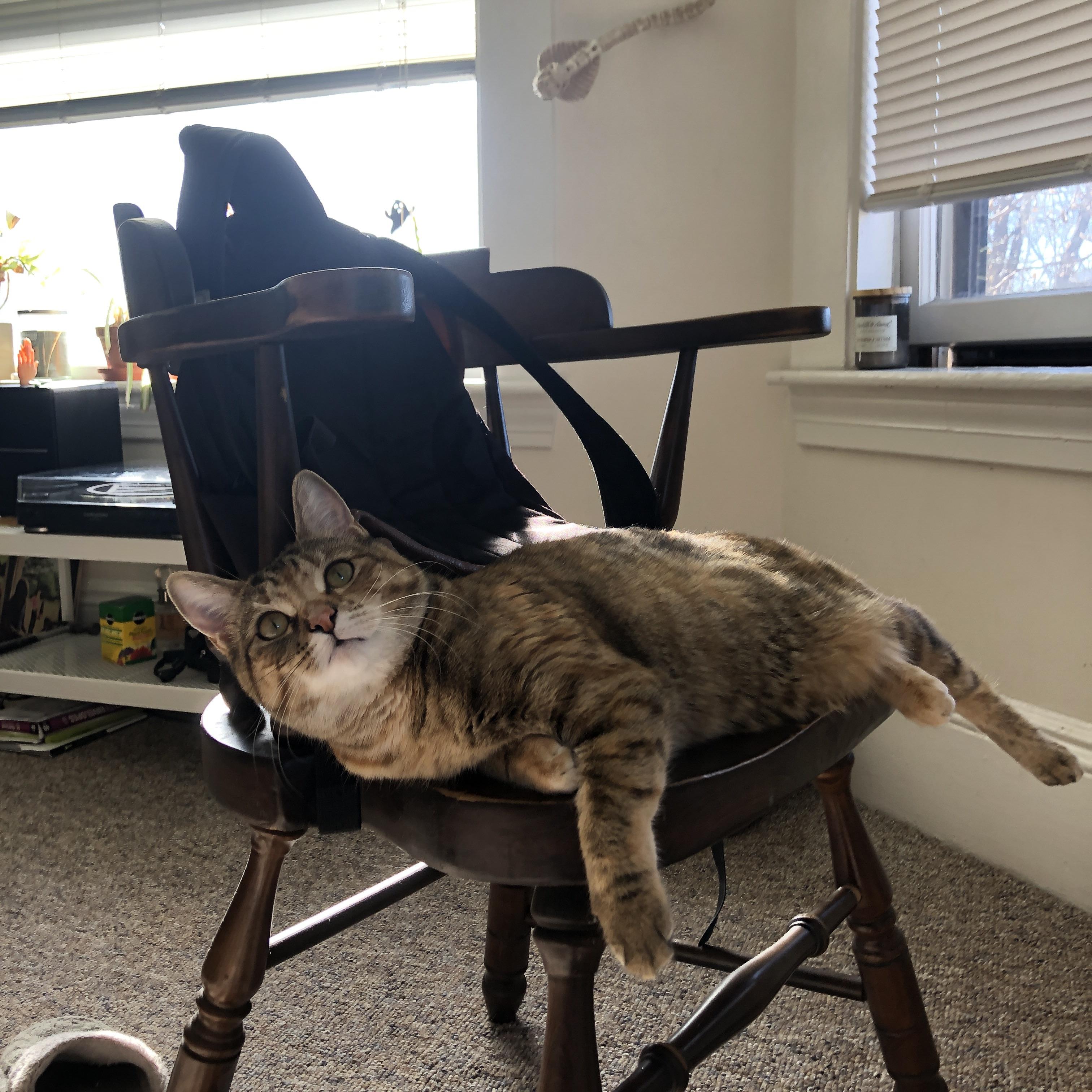 中国足球是否能形成清晰的全国技战术指导方针,中国足球战略