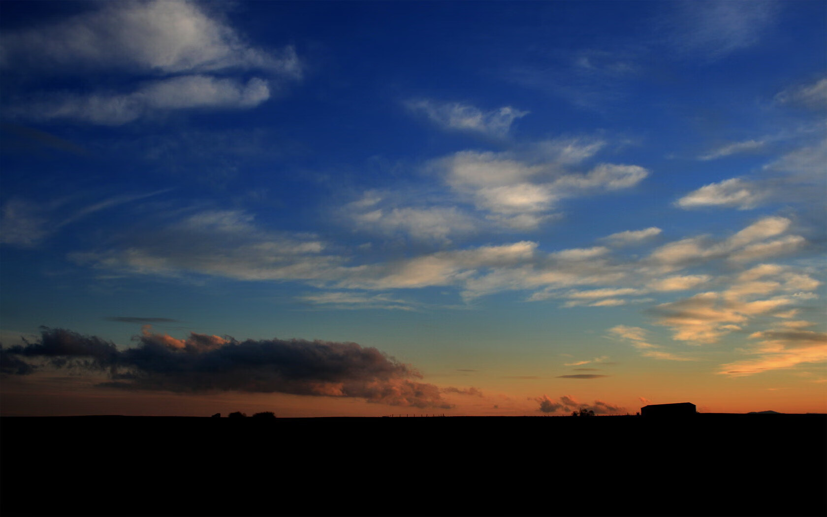 冠军虽未夺，但表现稳健依旧耀眼，冠军的意思是什么意思